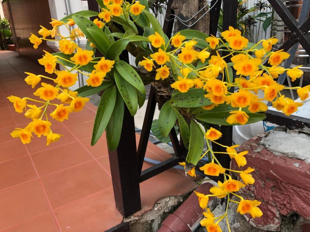 Villa Mery2 Luang Prabang Ngoại thất bức ảnh